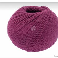 Fuchsia 0036