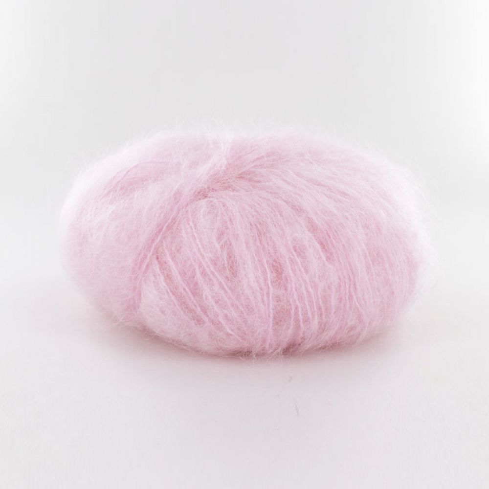 Rose pétale 1024
